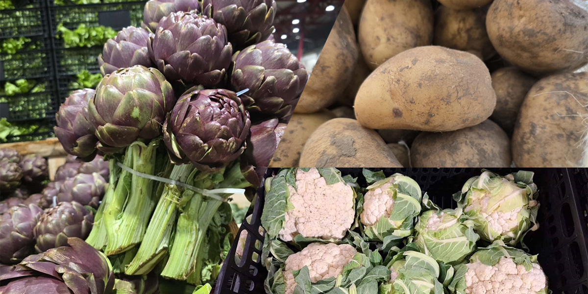 Vendramin (Agricola Lusia): «Prezzi sostenuti per i carciofi, momento down per le brassiche»